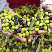 Load image into Gallery viewer, God Bless America Extra Virgin Olive Oil: Greek Koroneiki