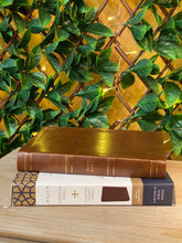 Load image into Gallery viewer, NRSV, Catholic Bible, Standard Large Print, Leathersoft, Brown, Comfort Print: Holy Bible