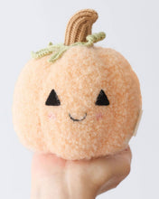 Load image into Gallery viewer, Baby pumpkin
