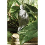 Load image into Gallery viewer, Saint Joseph Homeseller Kit
