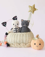 Load image into Gallery viewer, Baby pumpkin
