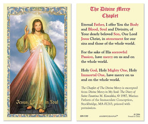 Divine Mercy  Holy Card