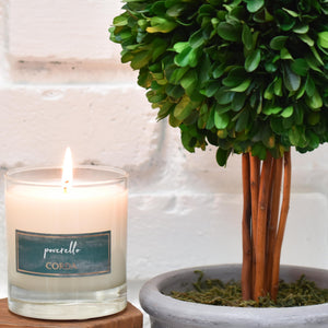 Corda Candle * POVERELLO - ST. FRANCIS OF ASSISI | CYPRESS + STONE + EARTH